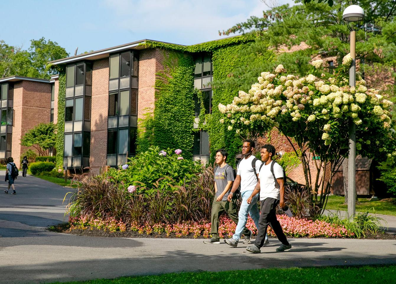 three male students walk on a college campus past flowers and a residential dorm